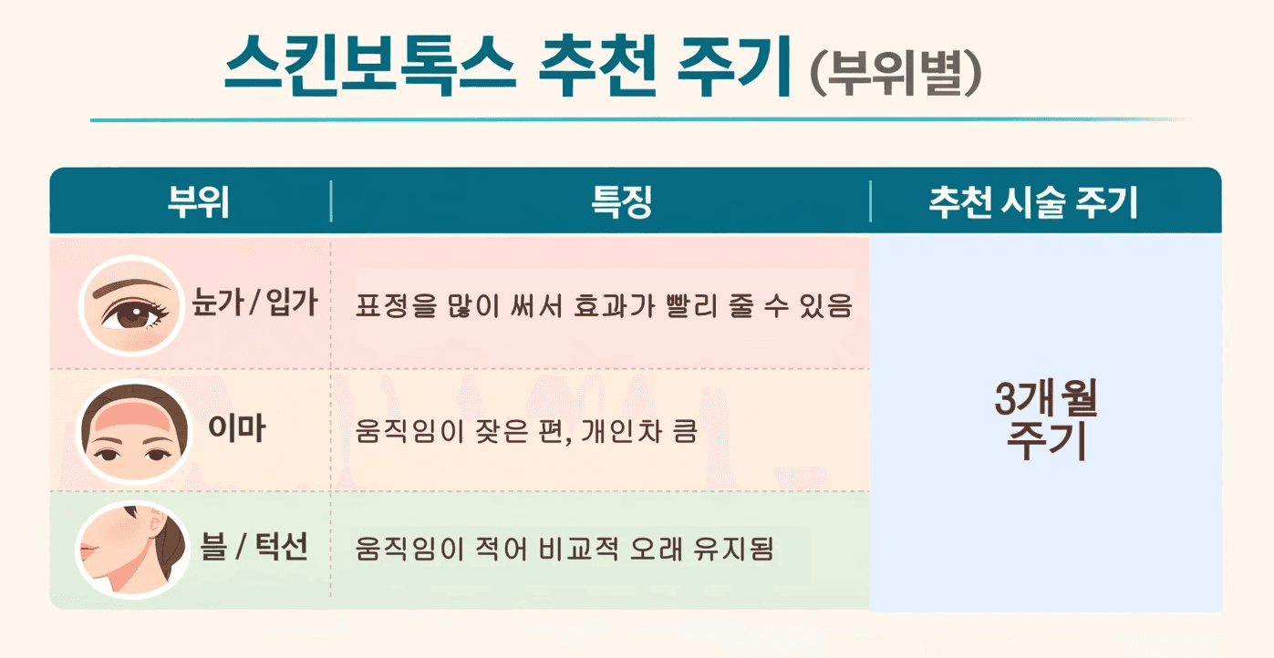 스킨보톡스시술주기부터, 효과와 유지기간까지