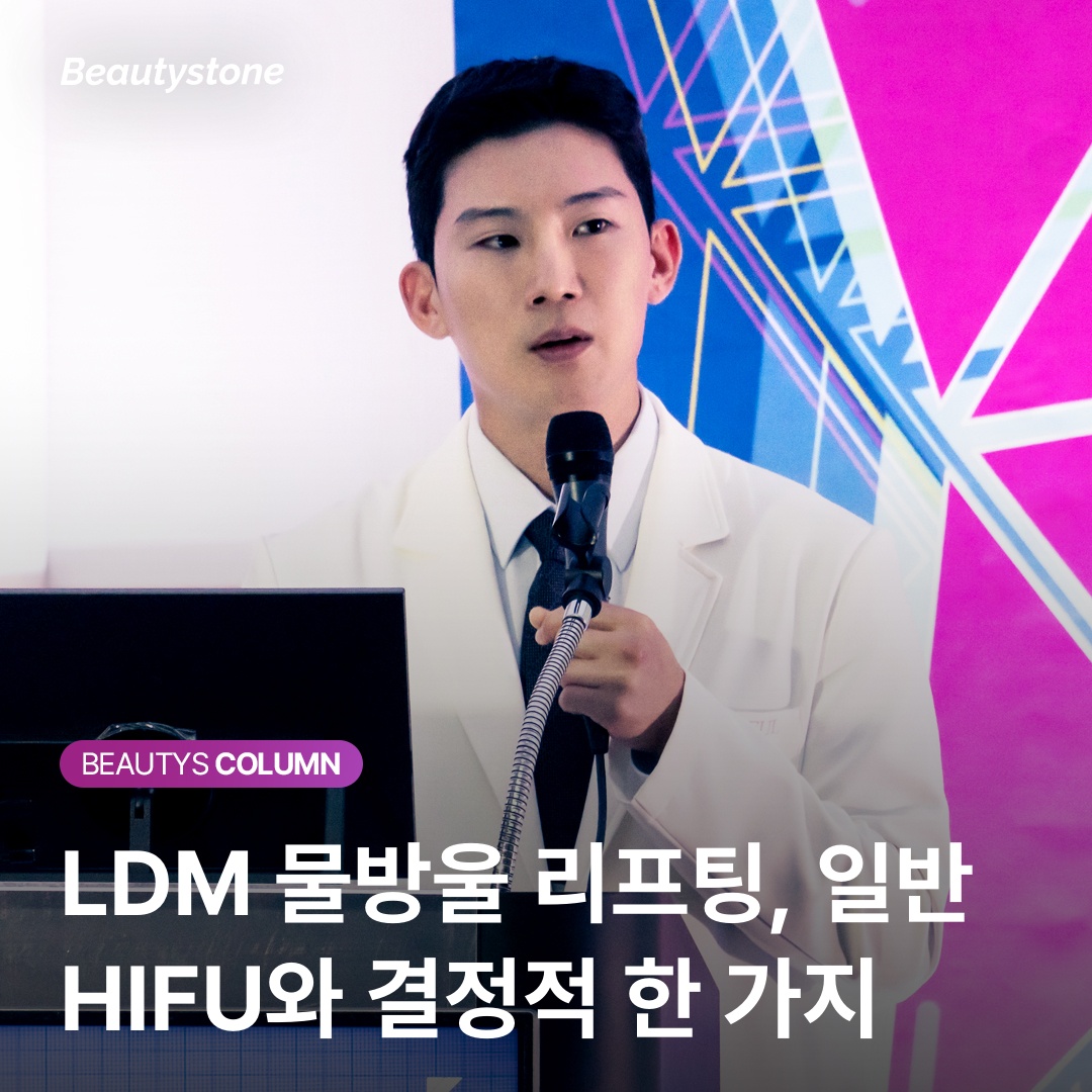 LDM 진동 메커니즘