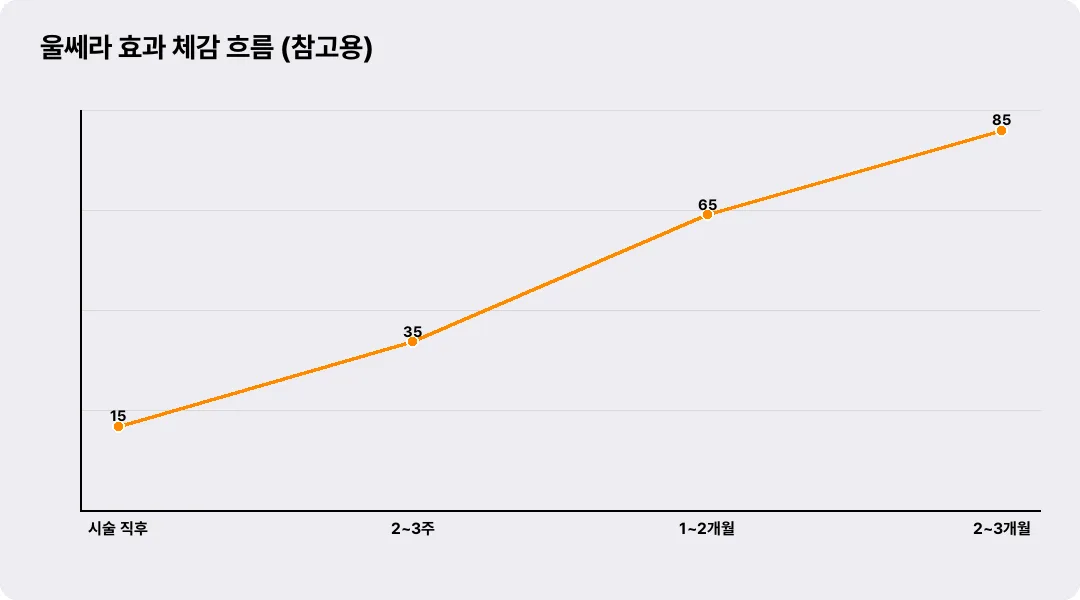 울쎄라 효과 체감 흐름 (참고용)