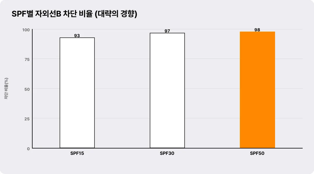 SPF별 자외선B 차단 비율 (대략의 경향)