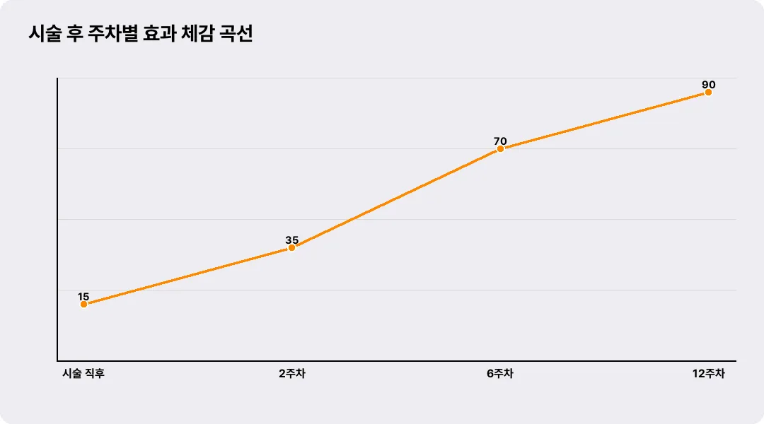 시술 후 주차별 효과 체감 곡선