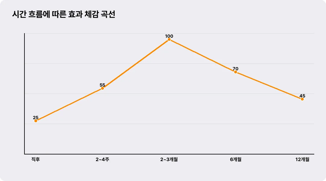 시간 흐름에 따른 효과 체감 곡선