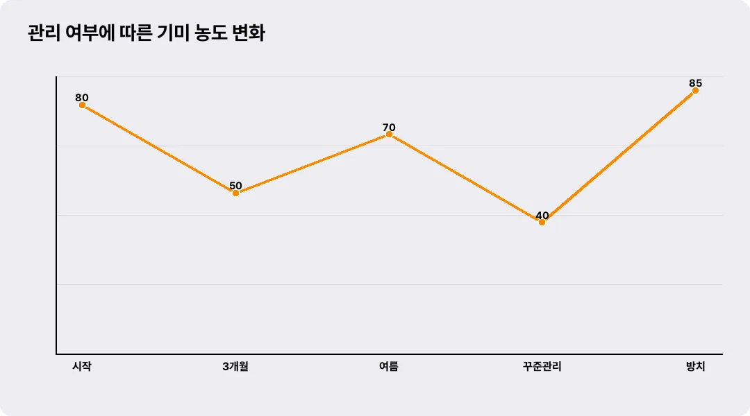 관리 여부에 따른 기미 농도 변화