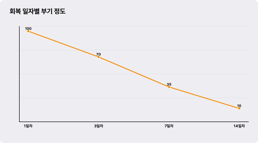 회복 일자별 부기 정도