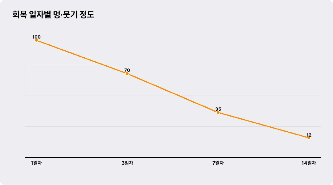 회복 일자별 멍·붓기 정도
