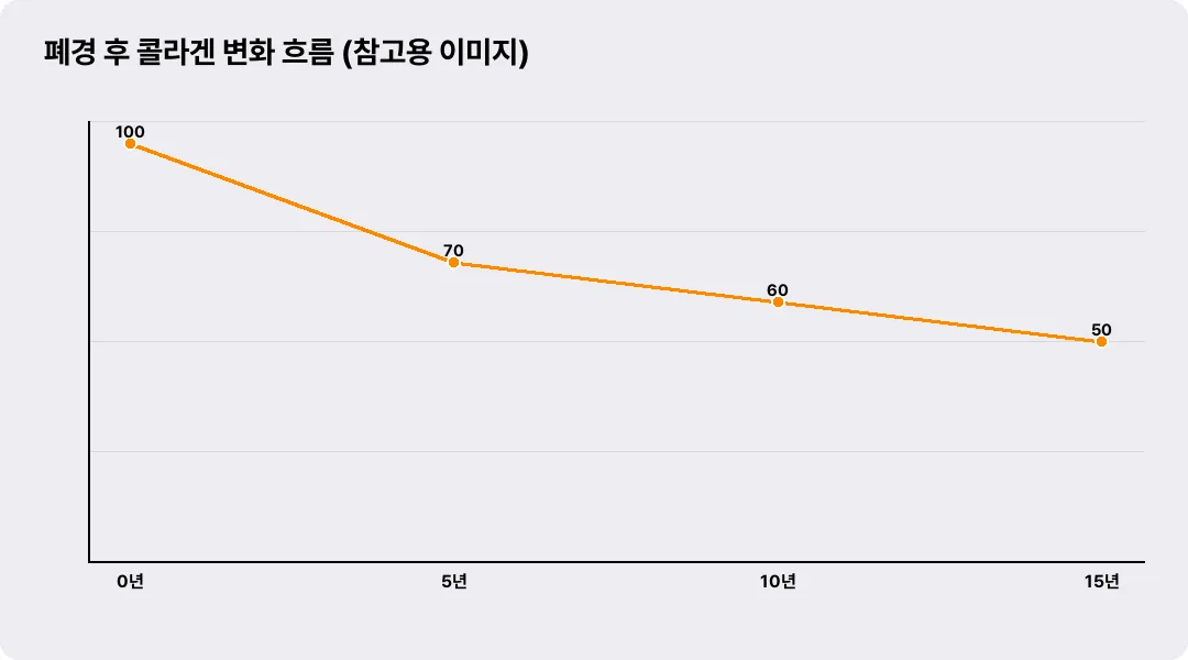 폐경 후 콜라겐 변화 흐름 (참고용 이미지)
