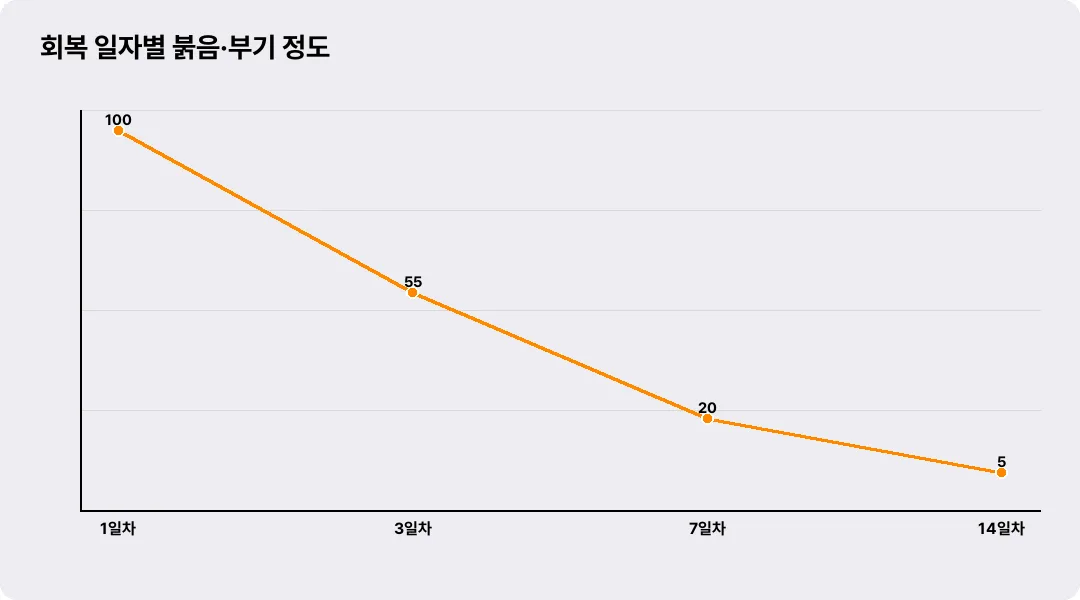 회복 일자별 붉음·부기 정도