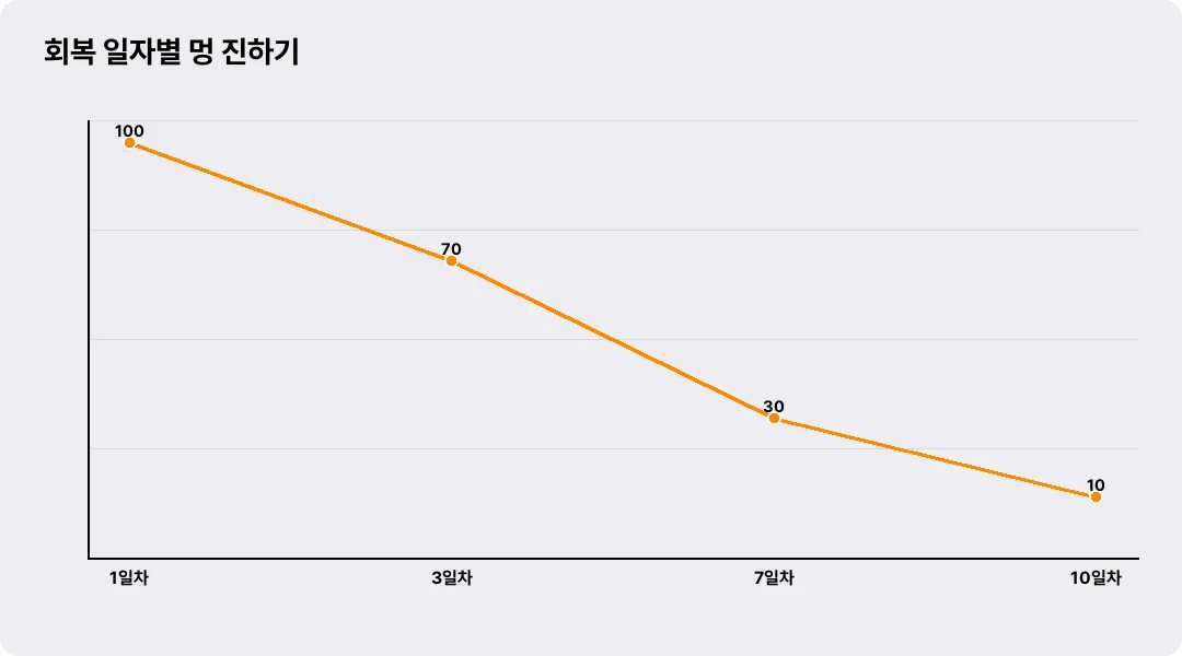 회복 일자별 멍 진하기