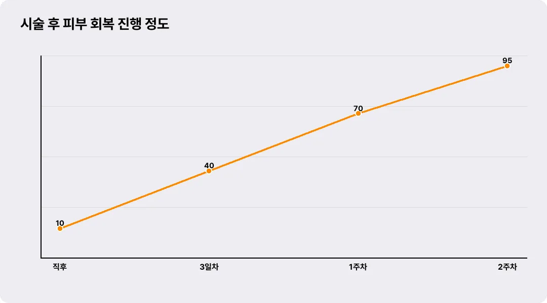 시술 후 피부 회복 진행 정도