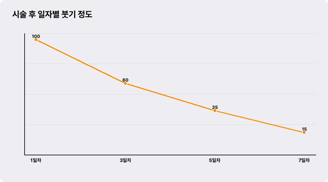 시술 후 일자별 붓기 정도