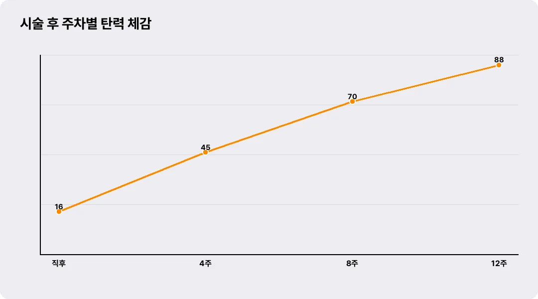 시술 후 주차별 탄력 체감