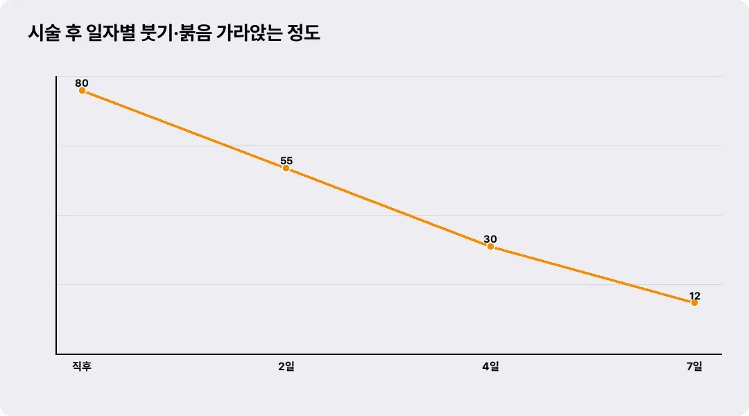 시술 후 일자별 붓기·붉음 가라앉는 정도