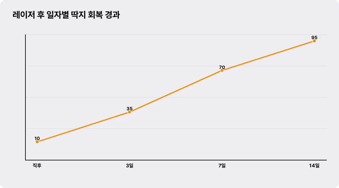 레이저 후 일자별 딱지 회복 경과
