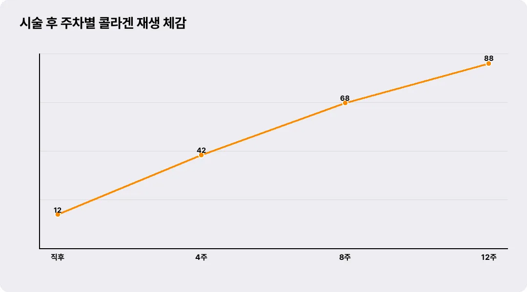시술 후 주차별 콜라겐 재생 체감