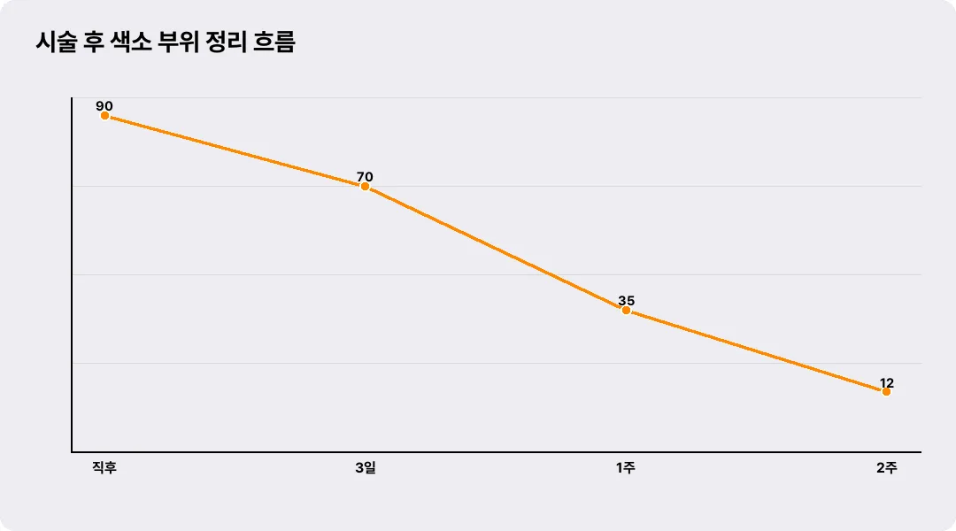 시술 후 색소 부위 정리 흐름