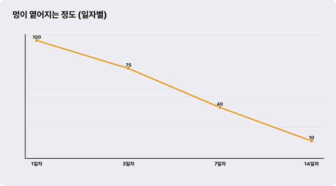 멍이 옅어지는 정도 (일자별)