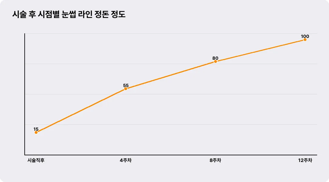 시술 후 시점별 눈썹 라인 정돈 정도