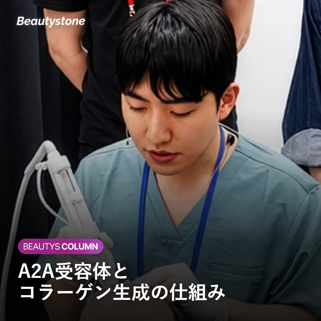 A2A受容体を介したコラーゲン生成の仕組みを示す図