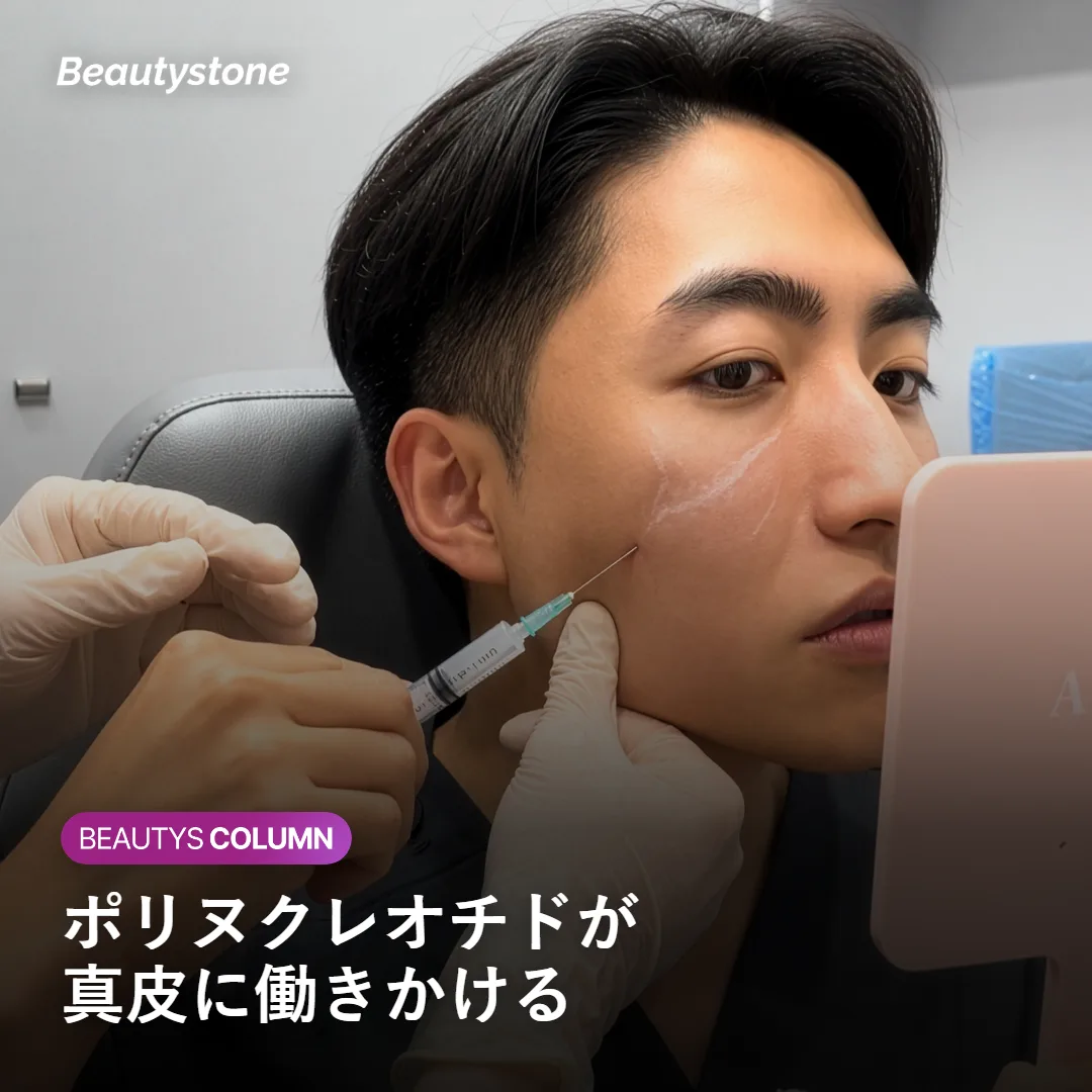 ポリヌクレオチドが真皮層に働きかける仕組みを示す図