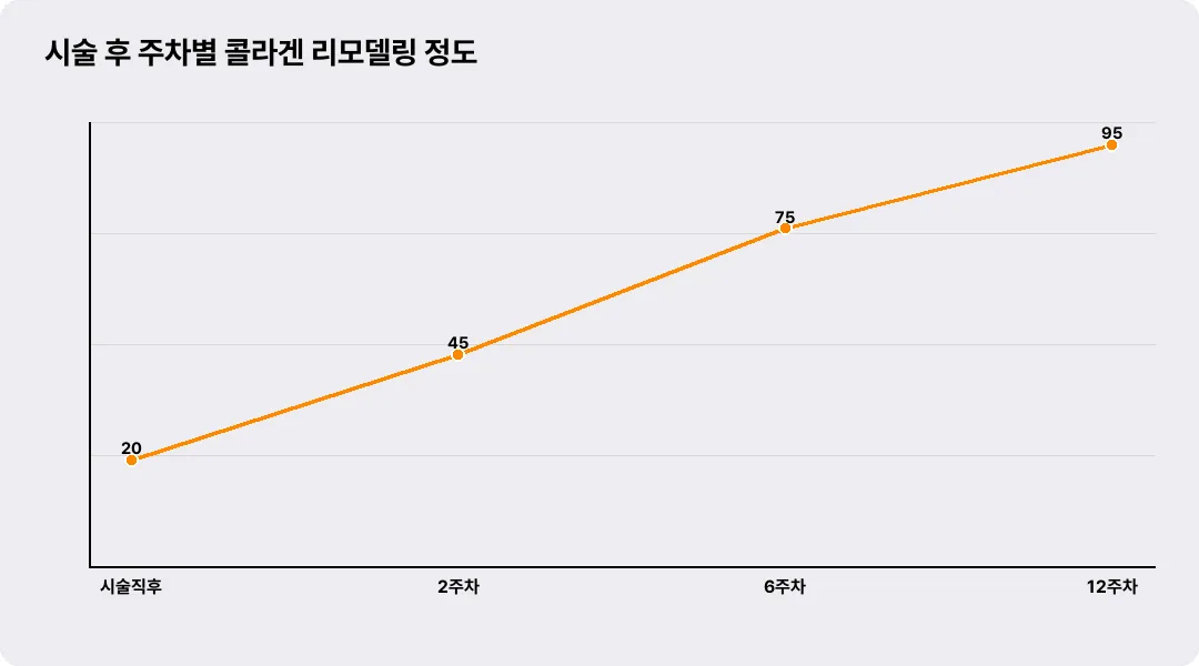시술 후 주차별 콜라겐 리모델링 정도