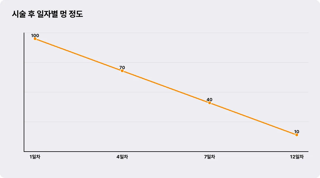 시술 후 일자별 멍 정도