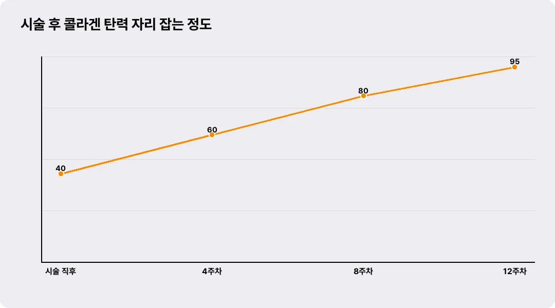 시술 후 콜라겐 탄력 자리 잡는 정도