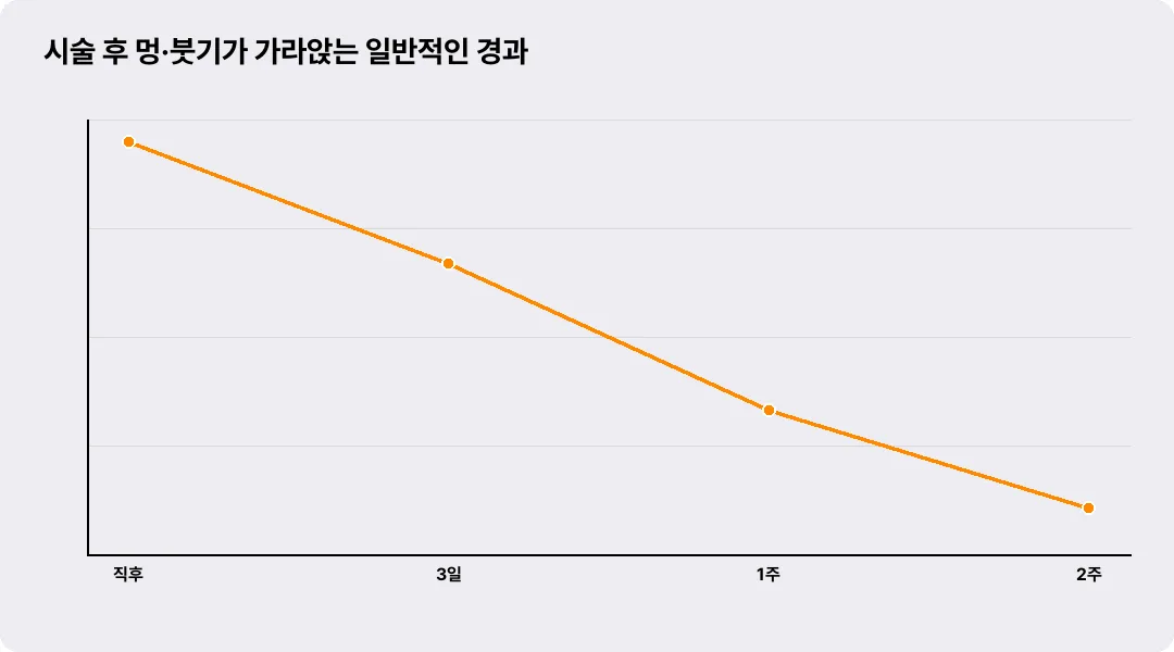 시술 후 멍·붓기가 가라앉는 일반적인 경과