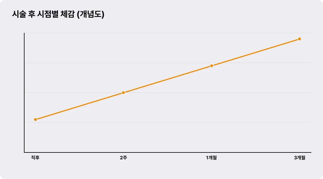 시술 후 시점별 체감 (개념도)