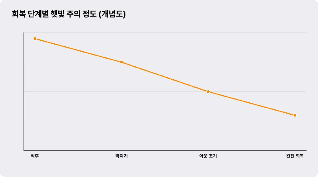 회복 단계별 햇빛 주의 정도 (개념도)