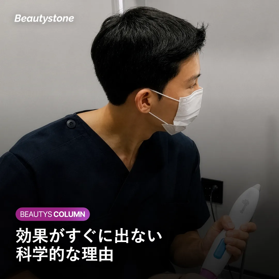 PNが線維芽細胞に働きかける仕組みを示す図
