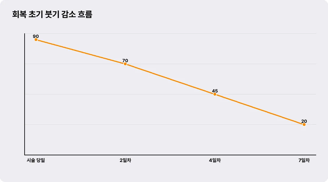 회복 초기 붓기 감소 흐름