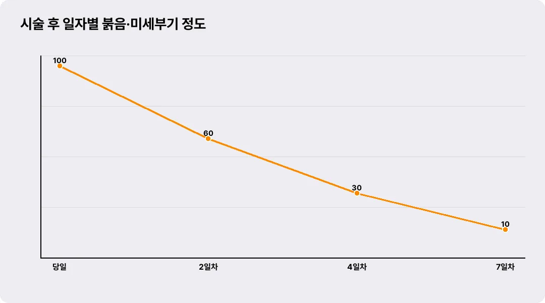 시술 후 일자별 붉음·미세부기 정도
