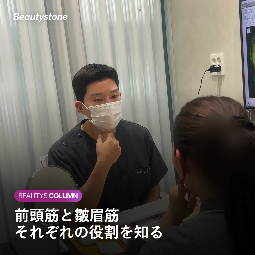 額と眉間の筋肉の位置関係を示す図