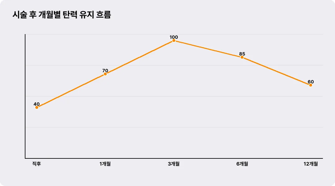 시술 후 개월별 탄력 유지 흐름