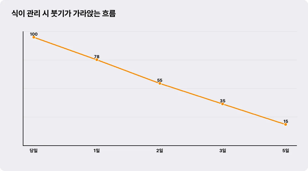 식이 관리 시 붓기가 가라앉는 흐름