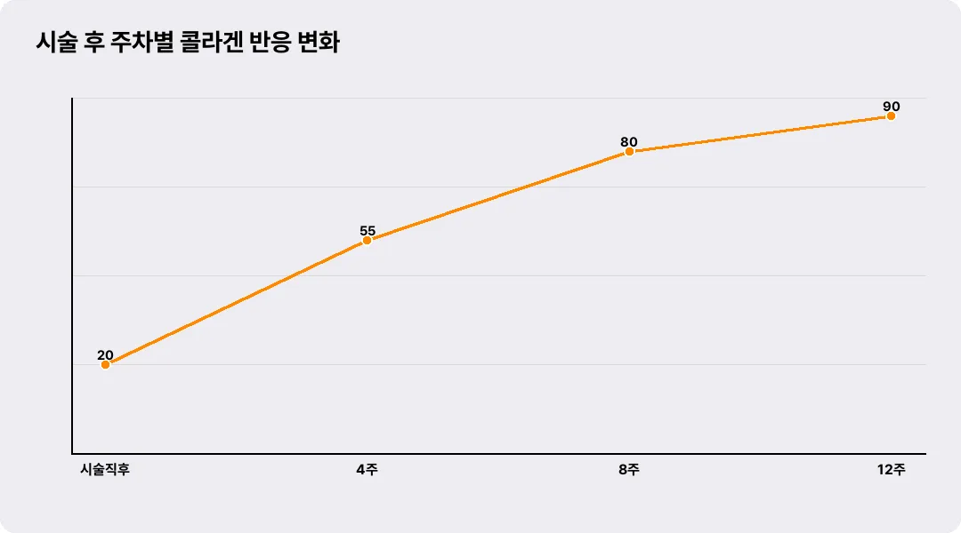 시술 후 주차별 콜라겐 반응 변화