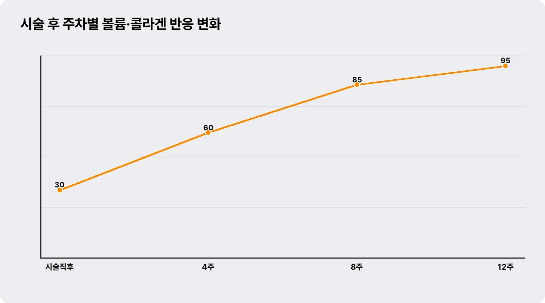 시술 후 주차별 볼륨·콜라겐 반응 변화