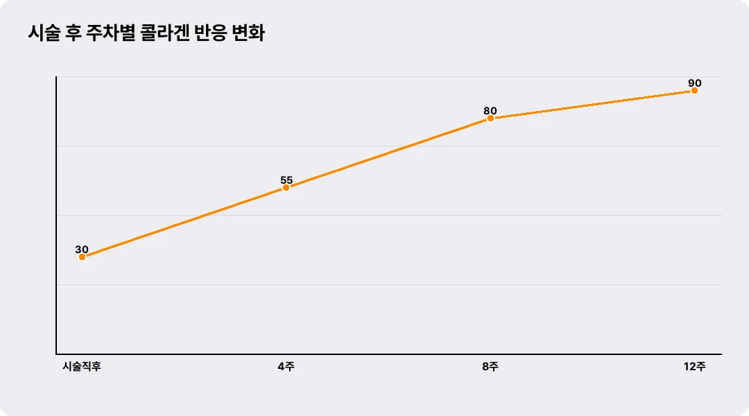 시술 후 주차별 콜라겐 반응 변화