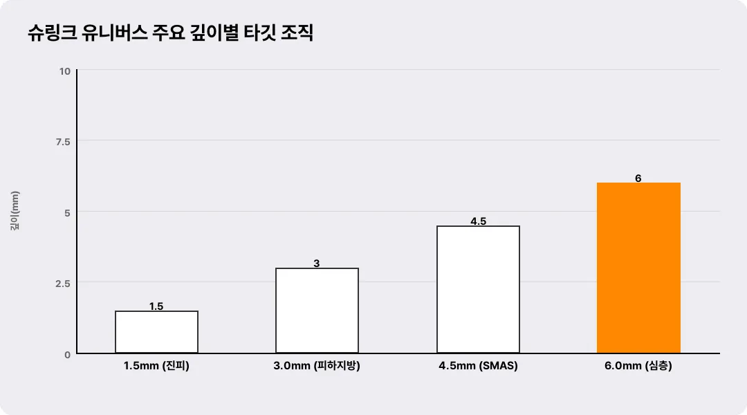슈링크 유니버스 주요 깊이별 타깃 조직