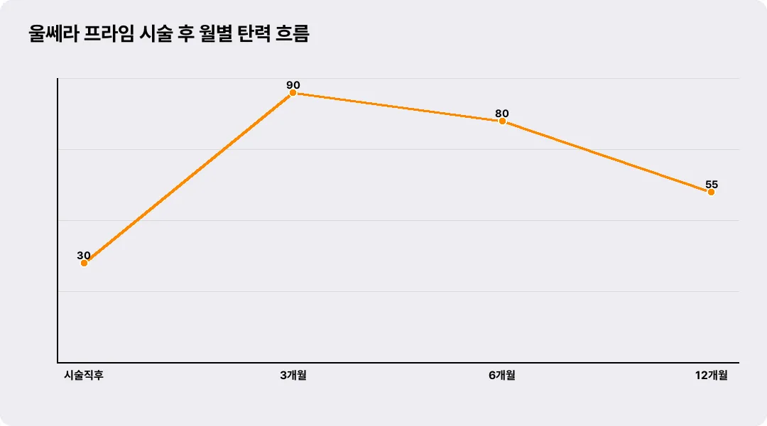 울쎄라 프라임 시술 후 월별 탄력 흐름