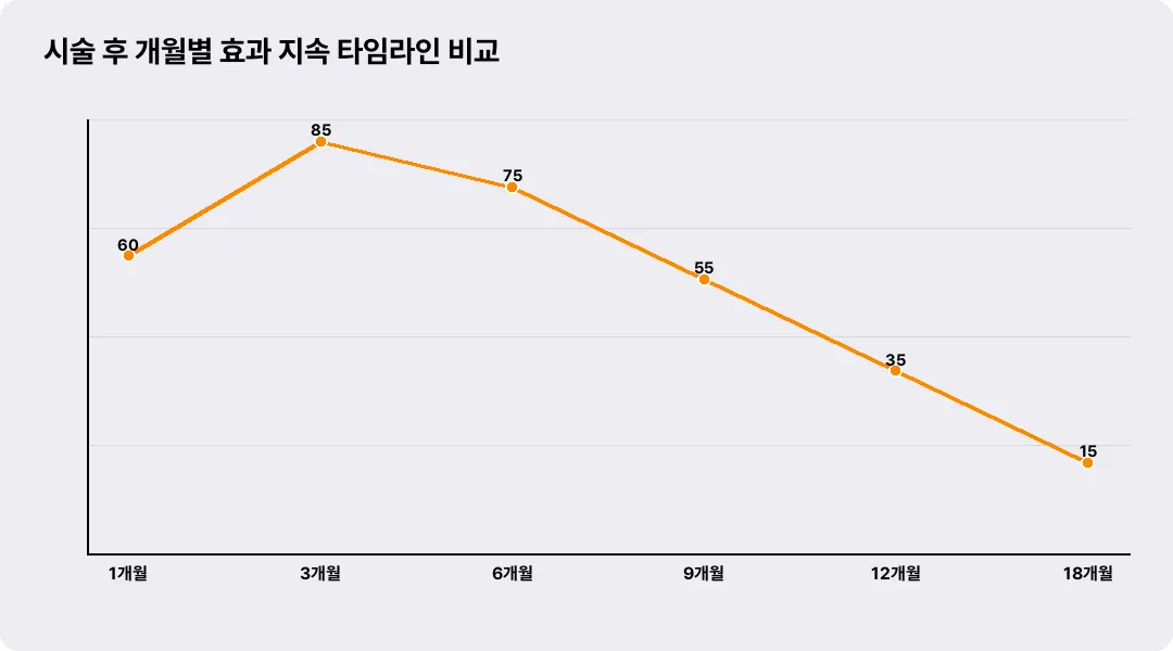 시술 후 개월별 효과 지속 타임라인 비교