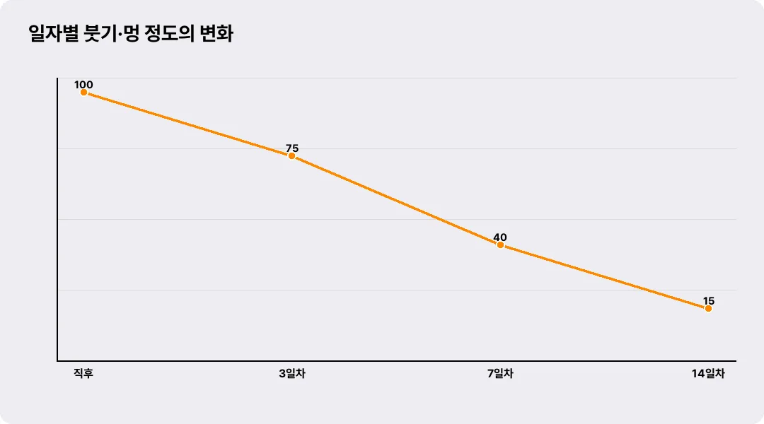 일자별 붓기·멍 정도의 변화