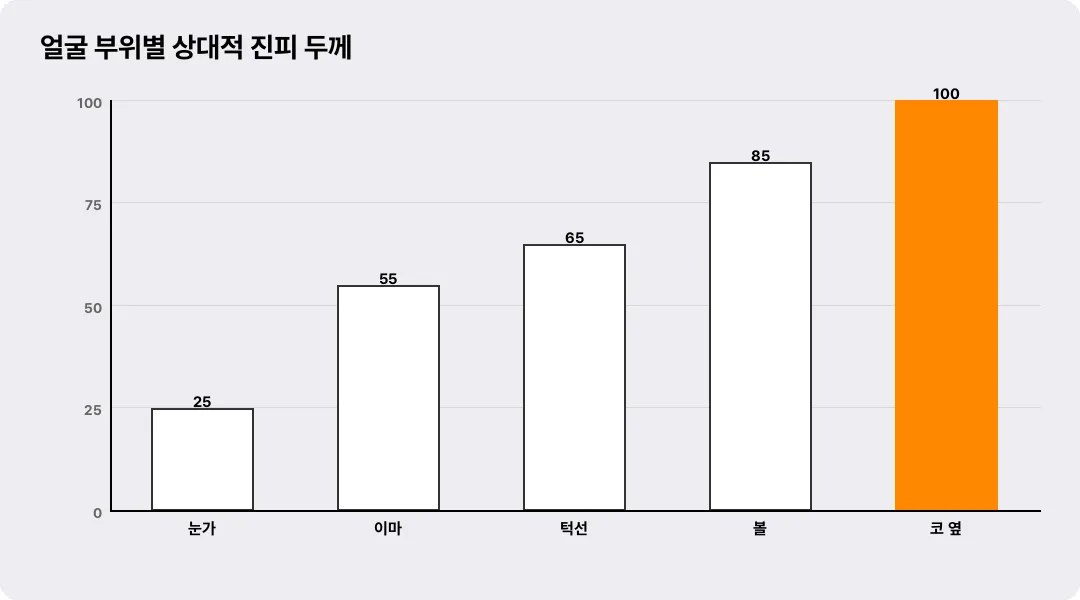 얼굴 부위별 상대적 진피 두께