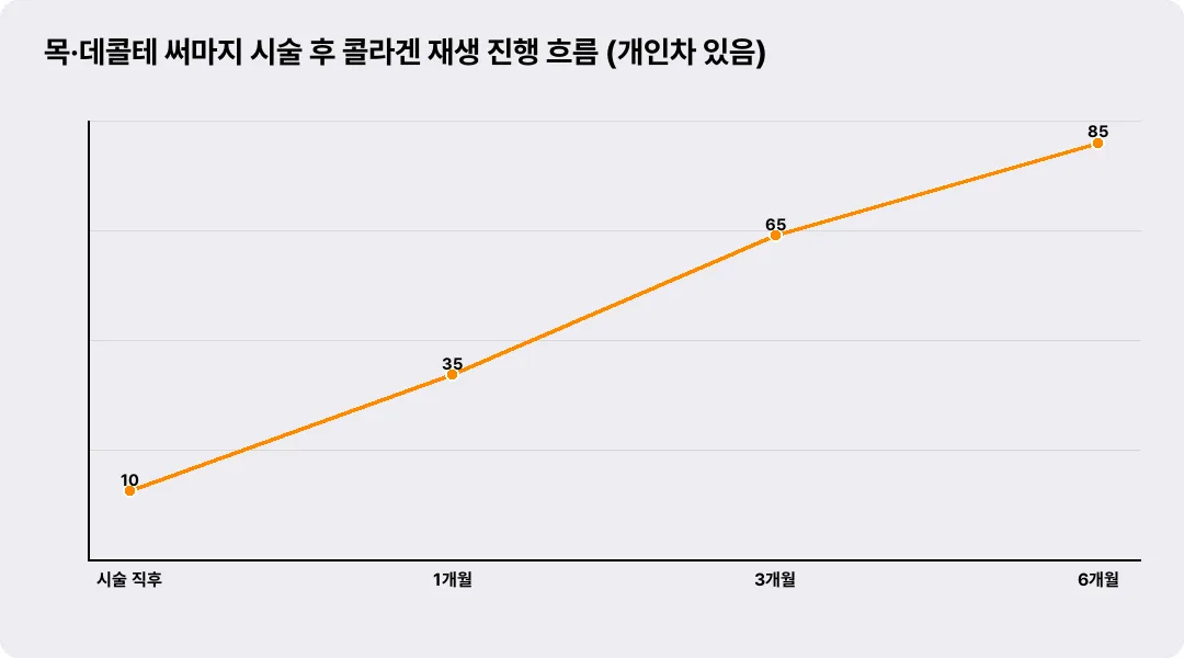 목·데콜테 써마지 시술 후 콜라겐 재생 진행 흐름 (개인차 있음)