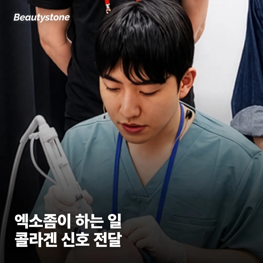 엑소좀이 피부에서 하는 일은 뭘까요