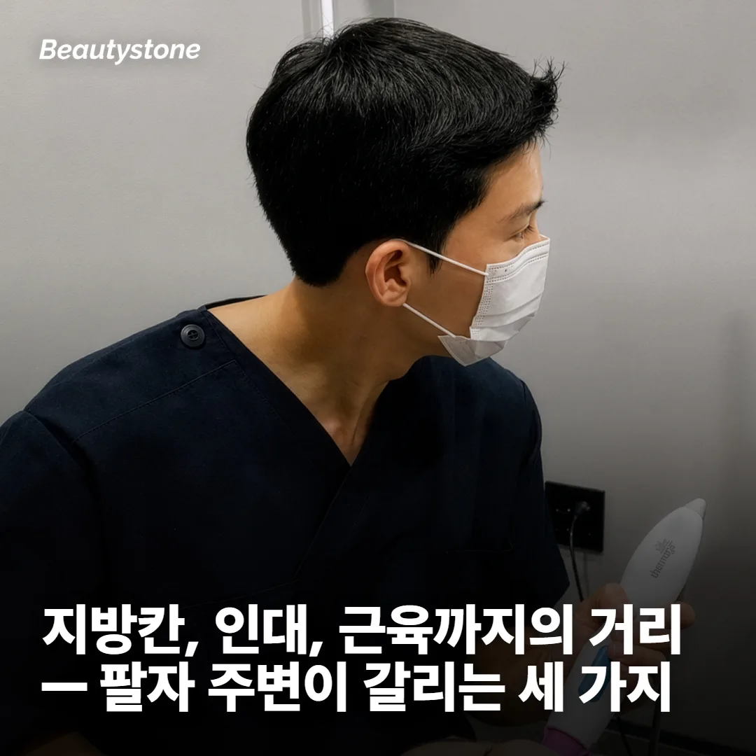 팔자 주변의 해부가 다른 부위와 갈리는 지점