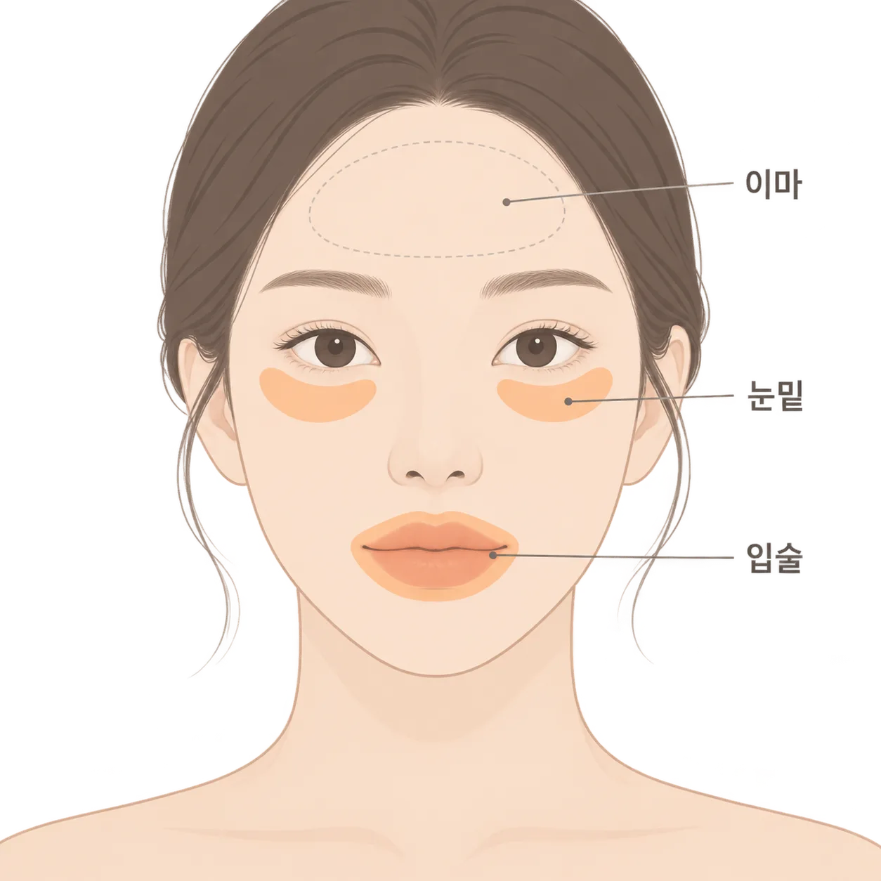 입술과 눈밑처럼 피부가 얇은 자리는 붓기가 더 잘 생겨요