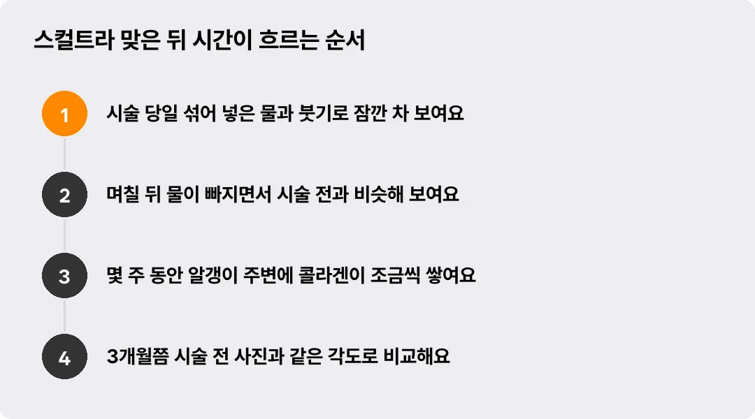 스컬트라 맞은 뒤 시간이 흐르는 순서