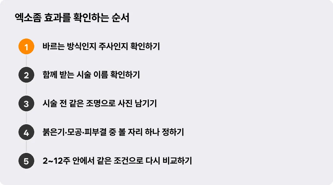 엑소좀 효과를 확인하는 순서