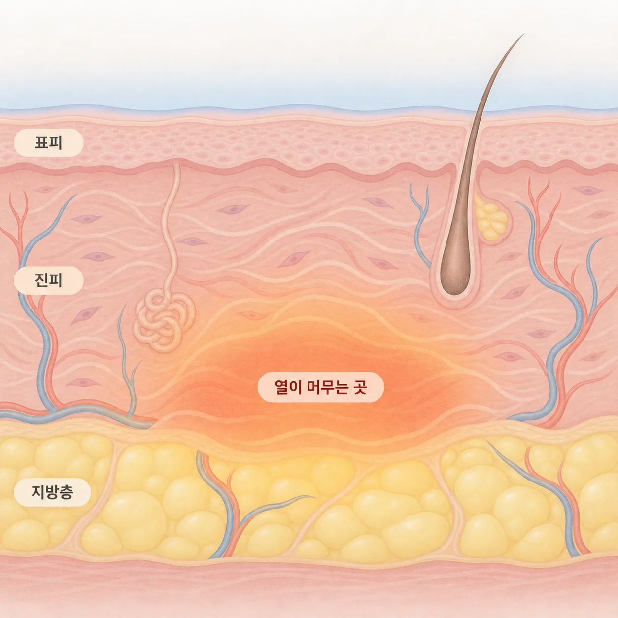 겉면은 비교적 지키고, 열은 그 아래층에 머물러요
